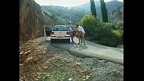 hd hitchhiking sex porn