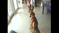 hd gauge please 11 extremely rare for collectors clip1 porn