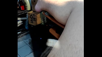 hd gaybears 2 porn