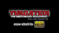 hd celebrated blowjobs porn