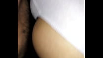 hd puppy house porn