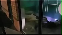 hd поймали ебля на публике porn