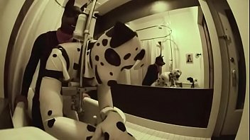 hd ᴠɪᴅᴇᴏ dirty pups in the hotel room porn