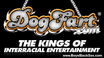 hd jungle blacks thugs breaking down sissy white boys 17 porn