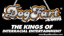 hd pyfi blacks thugs breaking down sissy white boys 16 porn