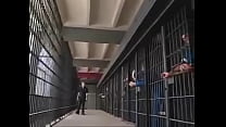 hd belladonna jail gangbang porn