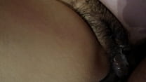 hd my hairy lover 1 porn