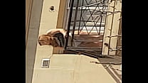 hd neighbor on the balcony 1st part porn