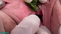 hd lingrege nettles in peehole urethral insertion nettles fisting cunt porn