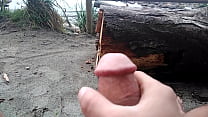 hd playing on the beach porn