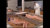 hd the megahorny kuken farm porn
