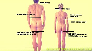hd shemale aanatomysome kind of sissytrainer porn