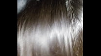 hd ouutdoorsex xr21 porn