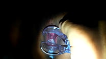 hd blond inseminator porn