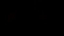 hd amateur couple porn