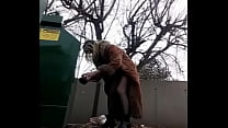 hd his dragon dildo dumpster dumb dawniev ass to mouth porn