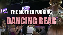 hd its the mother fucking dancing bear porn