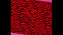 hd hmu porn