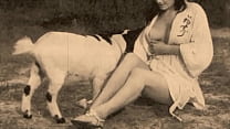 hd vintage taboo pussy pooch porn