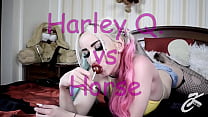 hd harley q vs horse porn