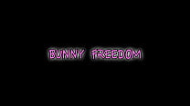 hd bunny freedom has a black stepdaddy porn