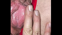 hd wet pussy with fat lips porn