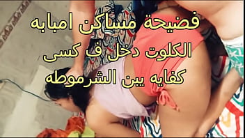 hd arab sex fire scandal amal a slut imbaba the clit entered my pussy you son of a btch porn