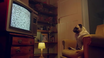 hd benefit monkey эмили пинк и фэнтези покажут вам чем они занимаются когда остаются наедине porn