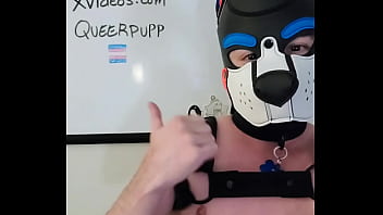 hd verification video porn