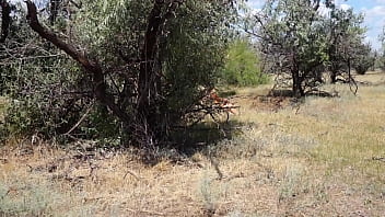 hd shy aboriginal porn